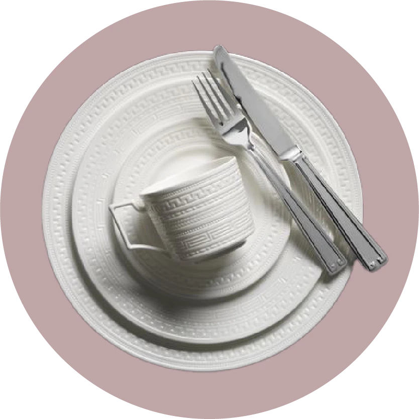 العناية بالمنزل